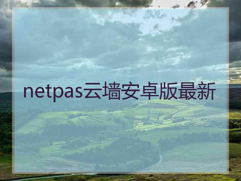 netpas云墙安卓版最新