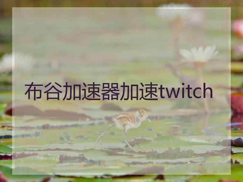 布谷加速器加速twitch