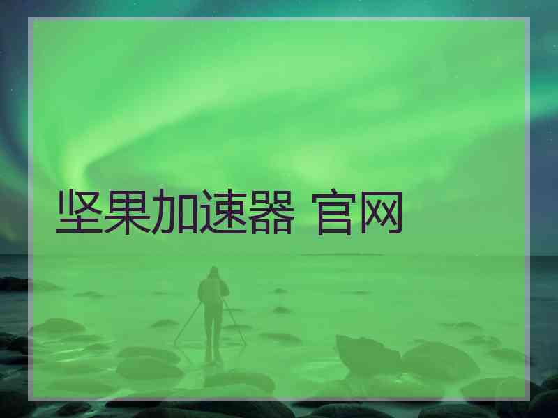 坚果加速器 官网