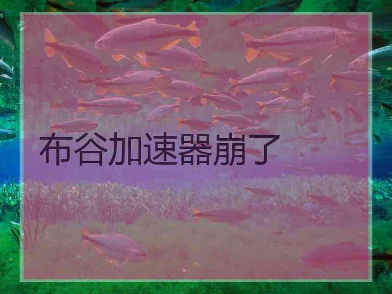 布谷加速器崩了