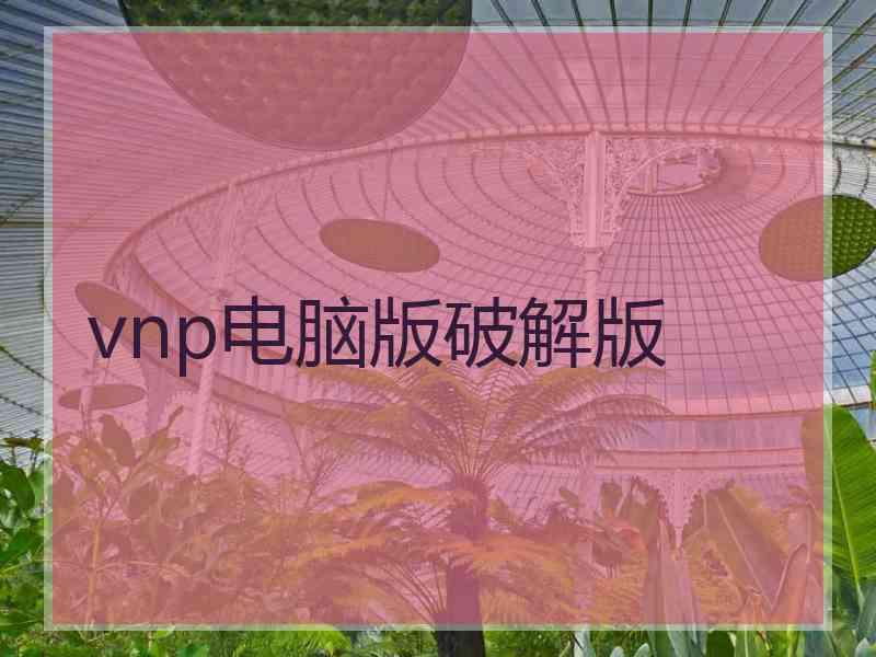 vnp电脑版破解版
