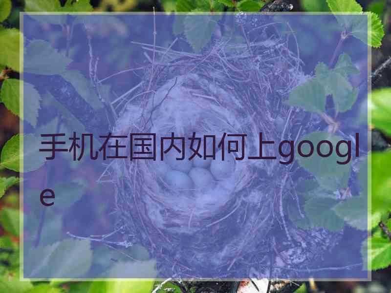 手机在国内如何上google