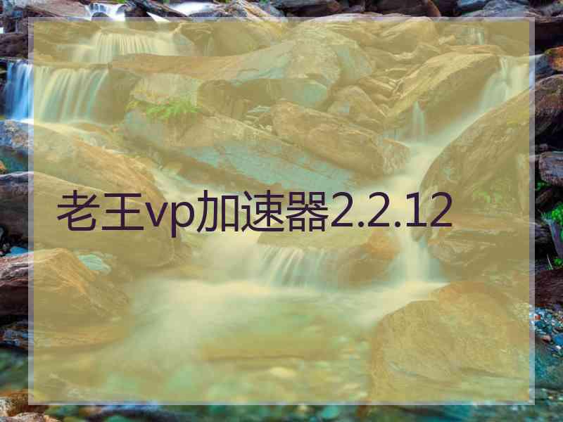 老王vp加速器2.2.12