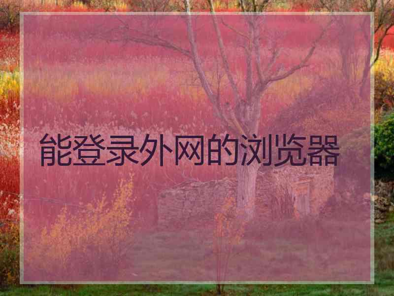 能登录外网的浏览器