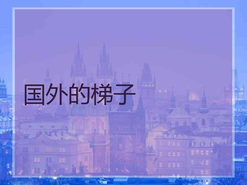 国外的梯子