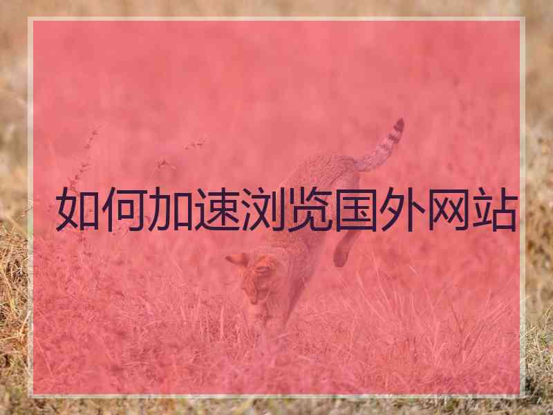 如何加速浏览国外网站
