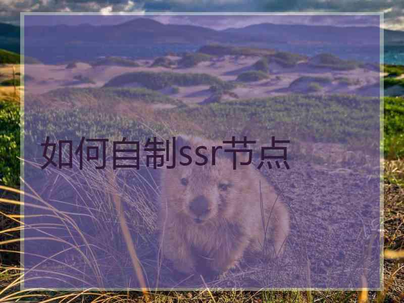 如何自制ssr节点