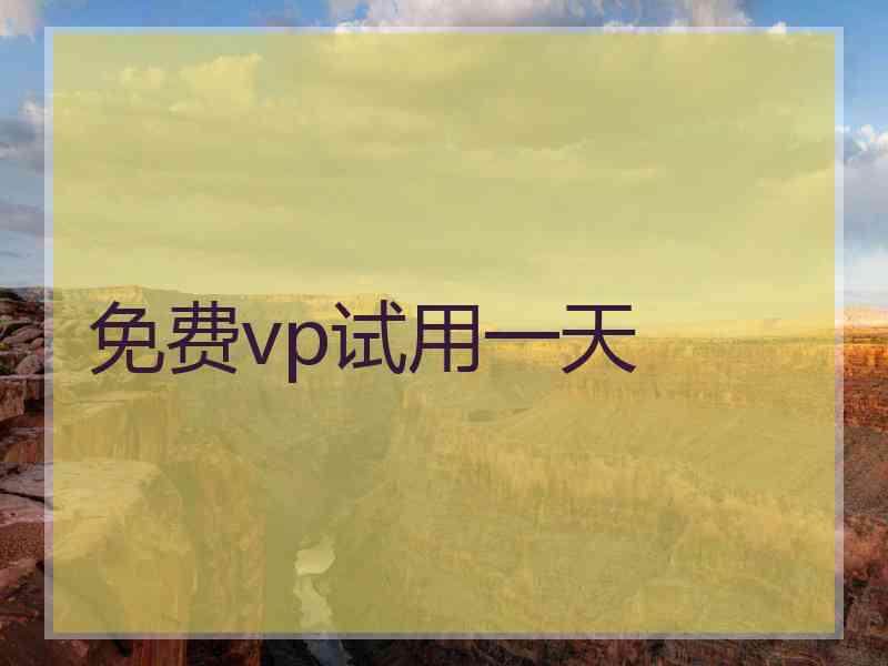 免费vp试用一天
