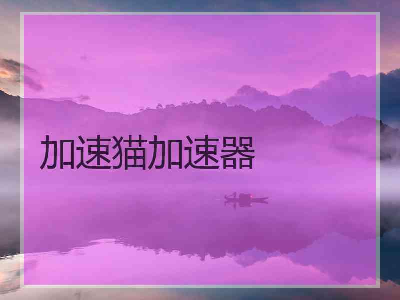 加速猫加速器