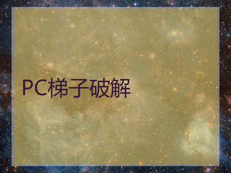 PC梯子破解