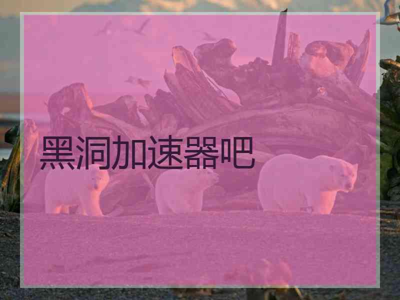 黑洞加速器吧