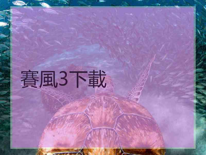 賽風3下載