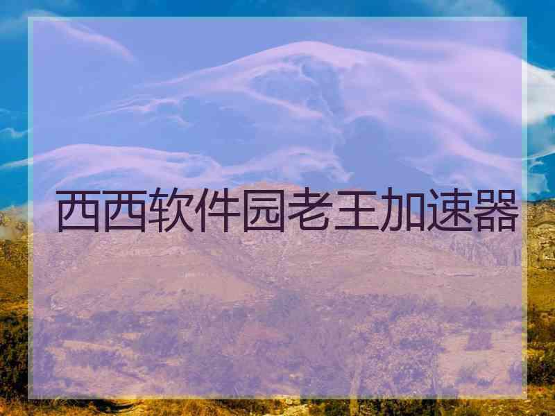 西西软件园老王加速器