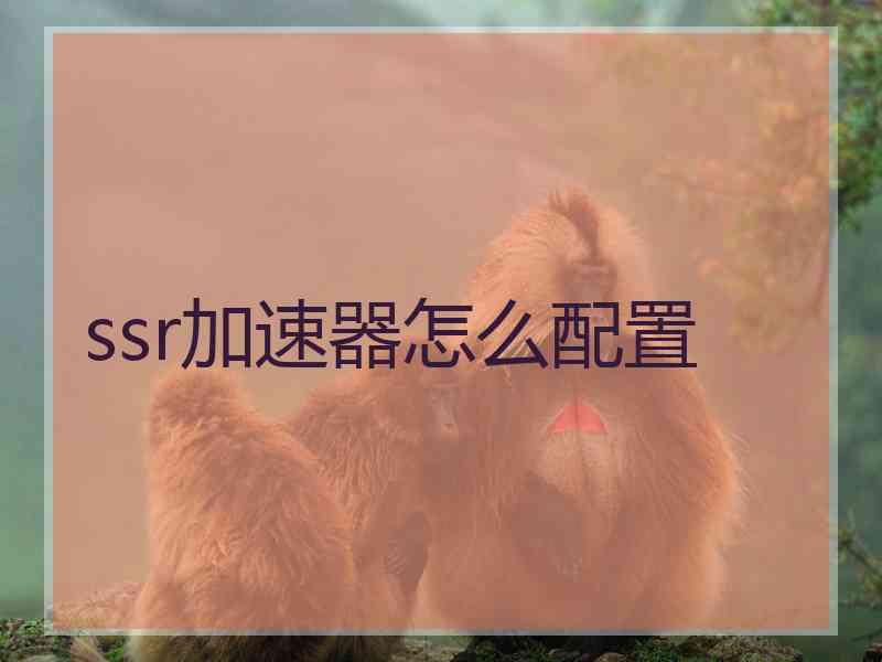 ssr加速器怎么配置