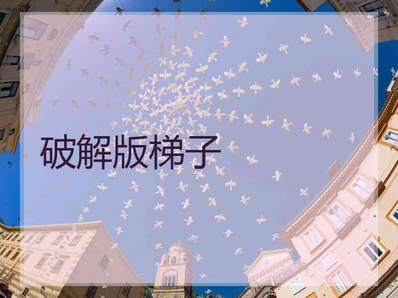 破解版梯子