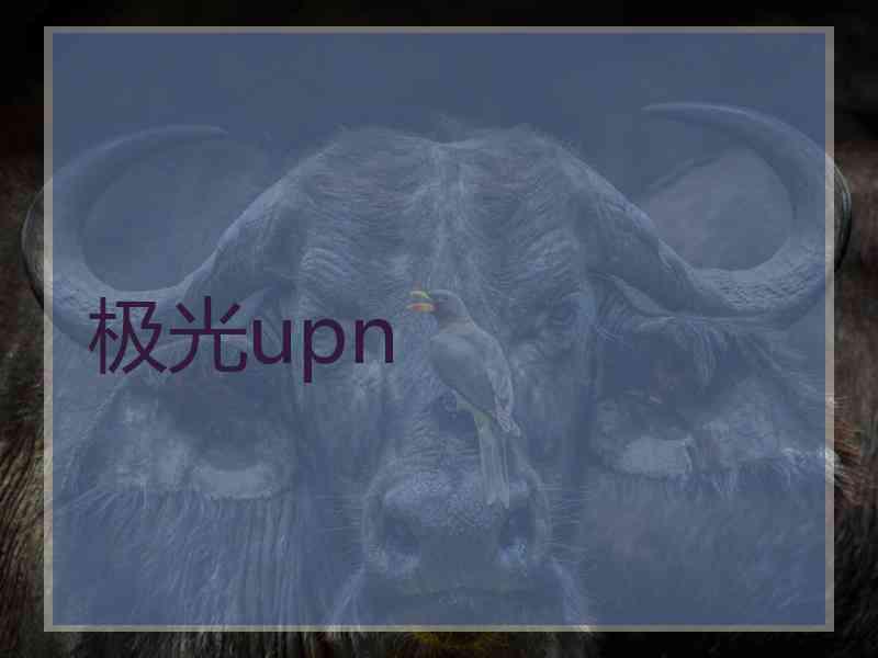 极光upn