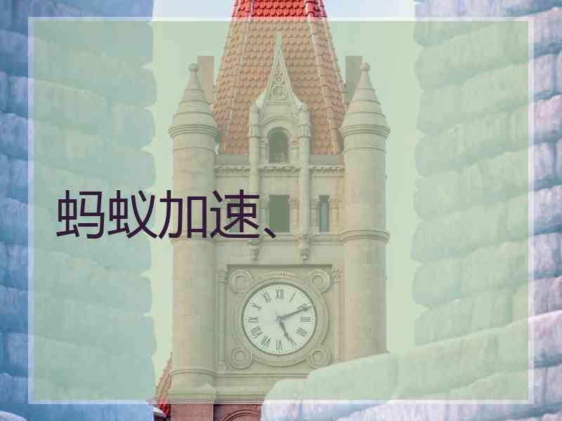 蚂蚁加速、