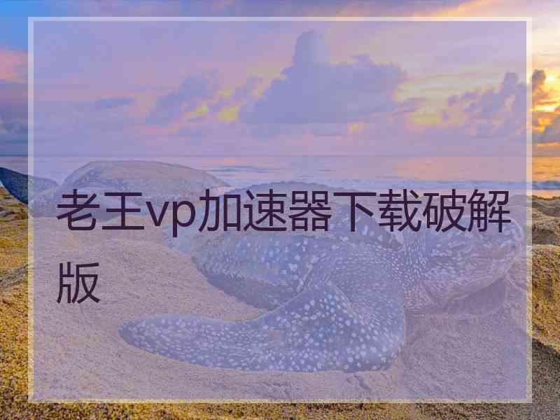 老王vp加速器下载破解版