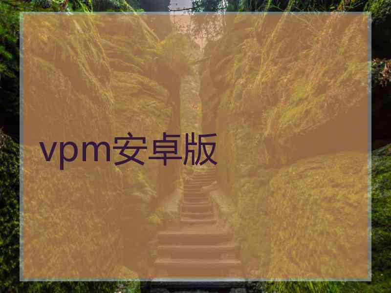 vpm安卓版
