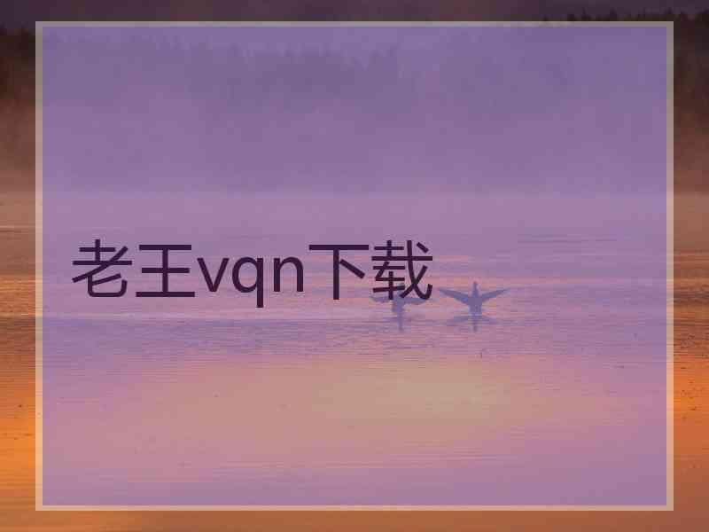 老王vqn下载