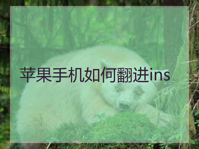 苹果手机如何翻进ins