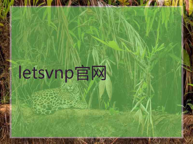 letsvnp官网