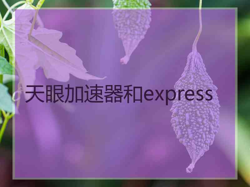 天眼加速器和express
