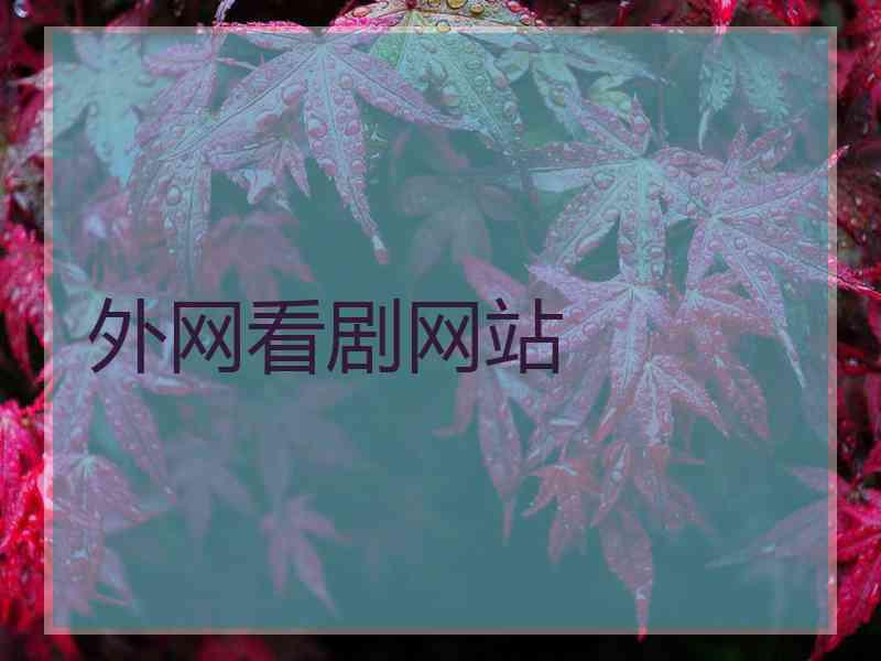 外网看剧网站