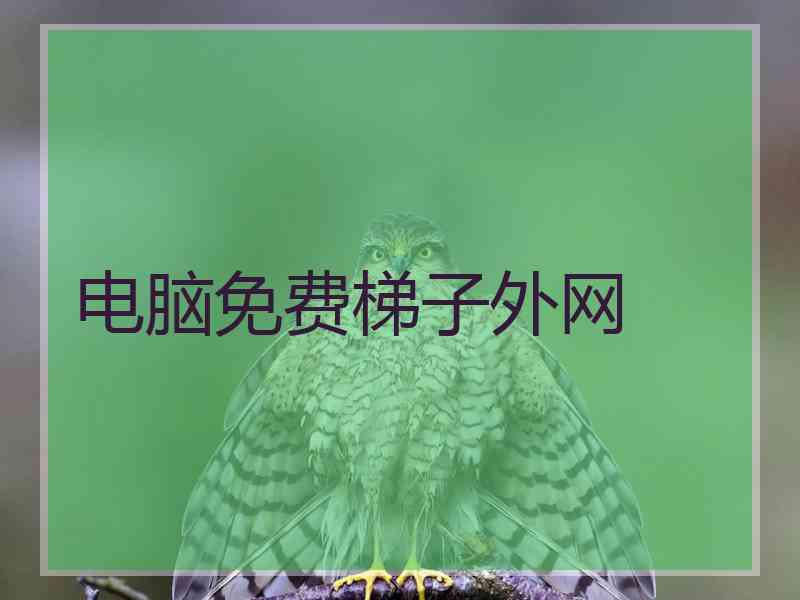 电脑免费梯子外网