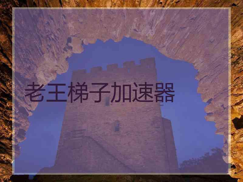 老王梯子加速器