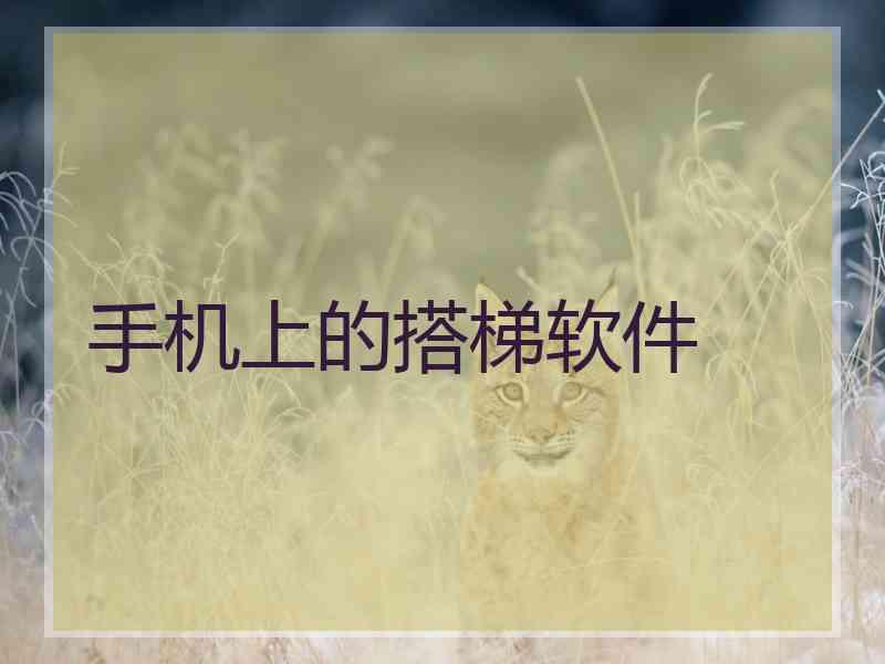 手机上的搭梯软件