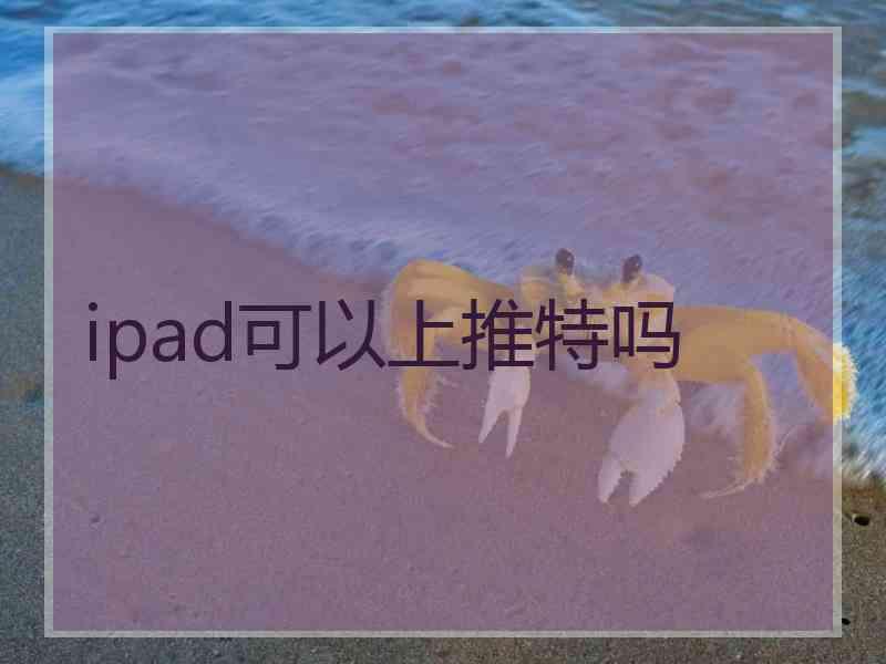 ipad可以上推特吗
