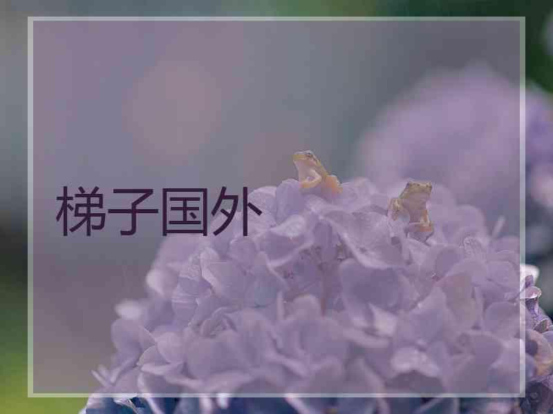 梯子国外