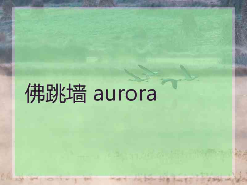 佛跳墙 aurora