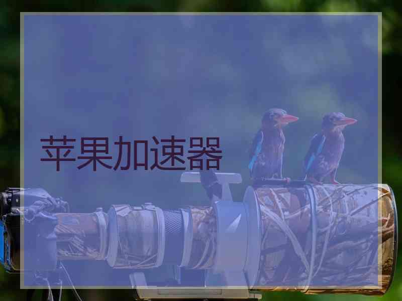 苹果加速器