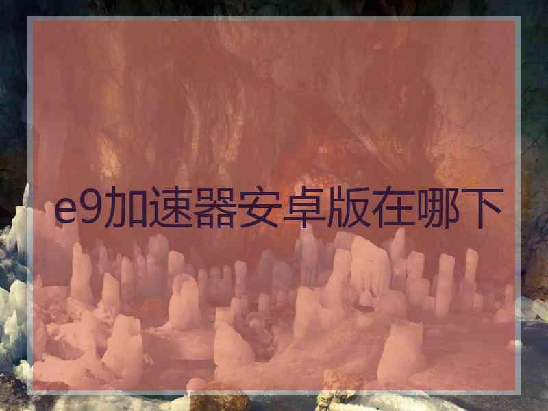 e9加速器安卓版在哪下