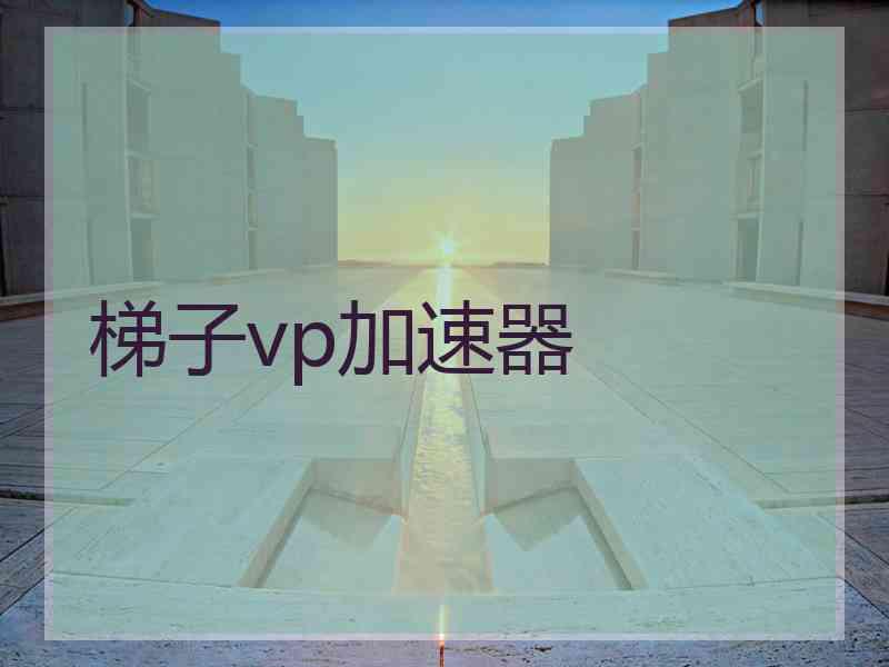 梯子vp加速器