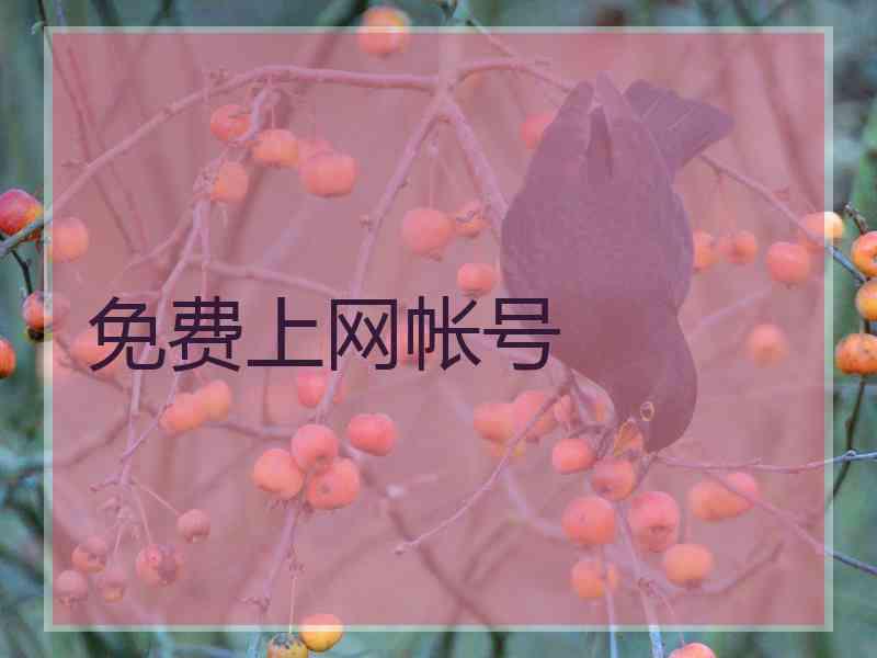免费上网帐号