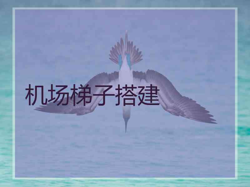 机场梯子搭建