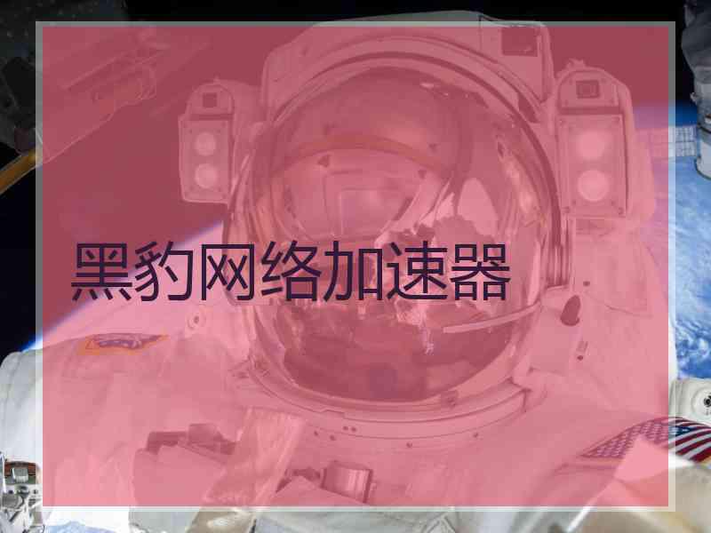 黑豹网络加速器