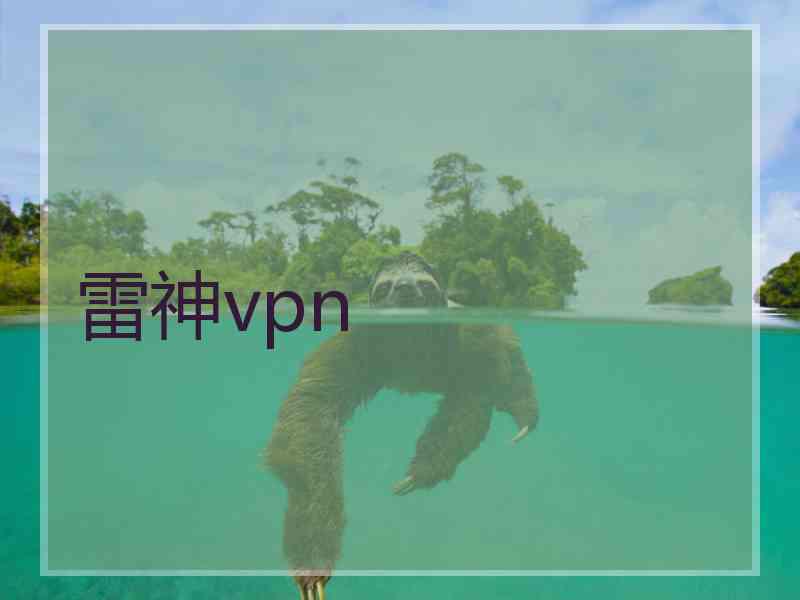 雷神vpn