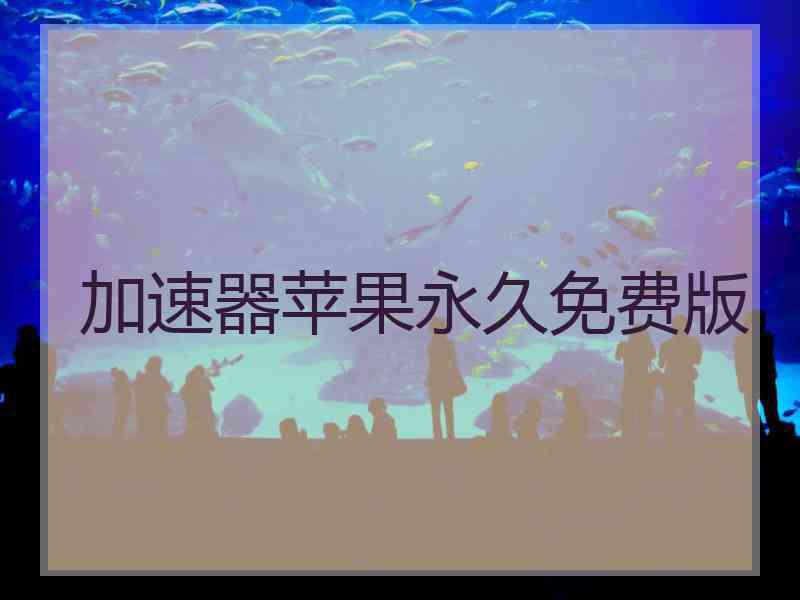 加速器苹果永久免费版