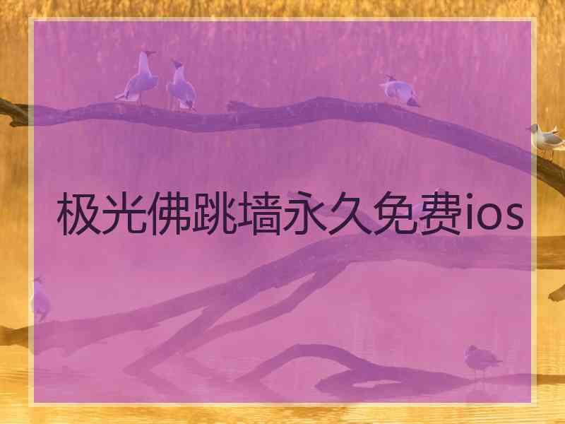 极光佛跳墙永久免费ios