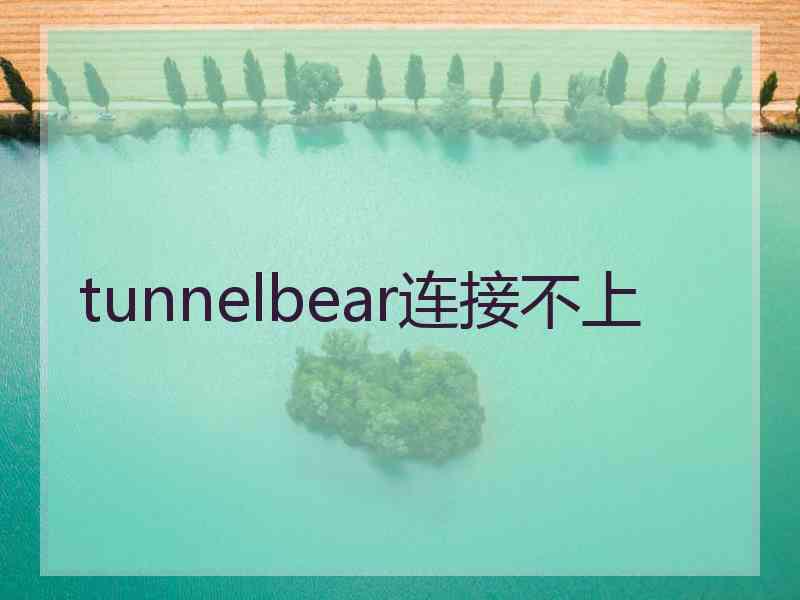 tunnelbear连接不上