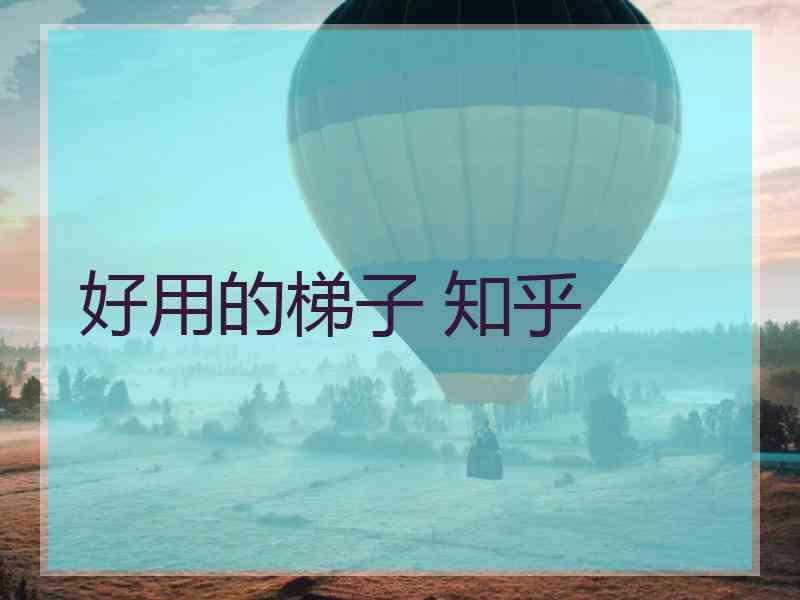 好用的梯子 知乎