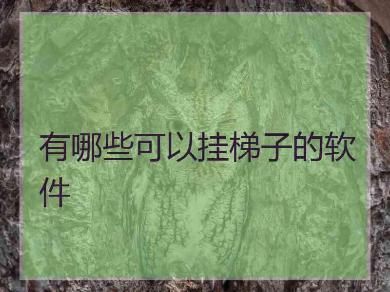 有哪些可以挂梯子的软件