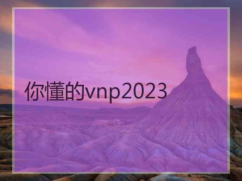 你懂的vnp2023