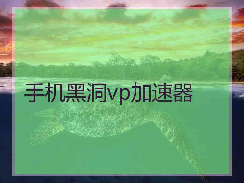 手机黑洞vp加速器