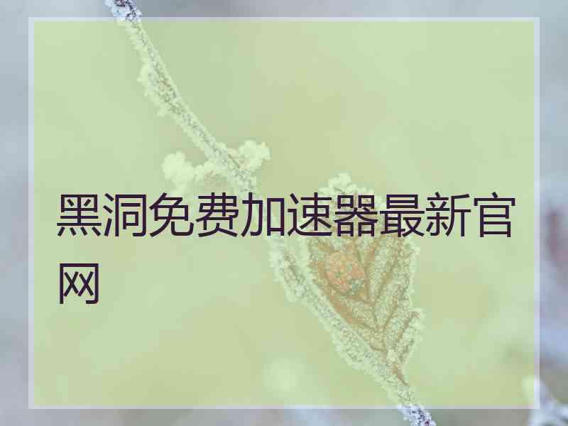 黑洞免费加速器最新官网