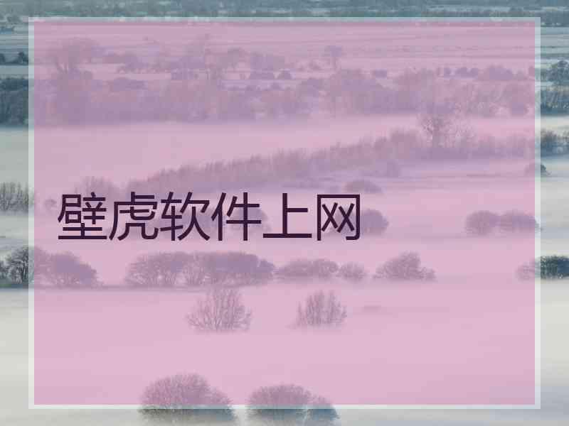 壁虎软件上网